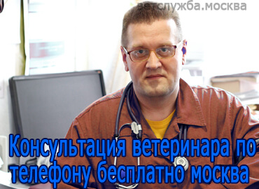 Консультация ветеринара по телефону бесплатно Москва