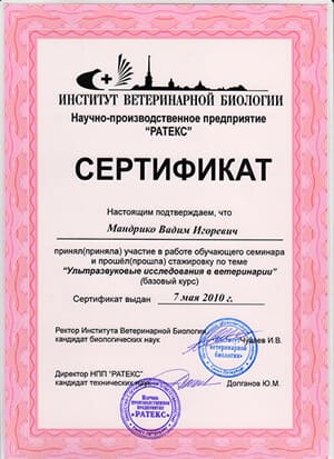 УЗИ сертификат