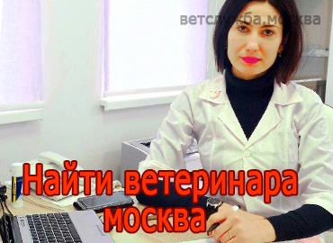 Найти ветеринара Москва