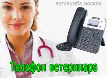 Телефон ветеринара