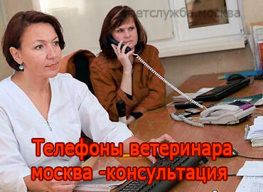 Телефоны ветеринара Москва