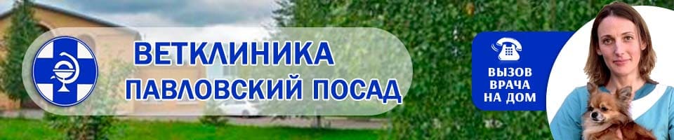 ветеринарная Павловский Посад