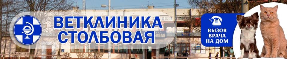 ветеринарная Столбовая