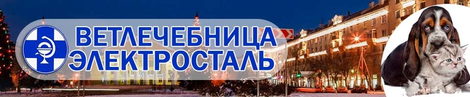 ветлечебница Электросталь